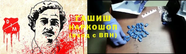 индика Аркадак