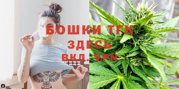 индика Аркадак