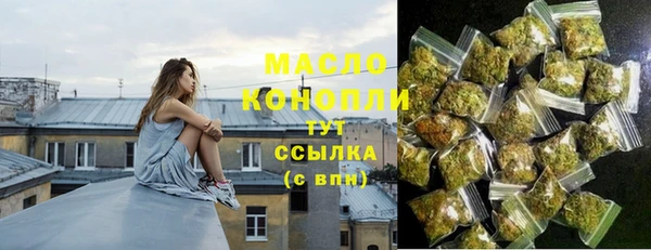 индика Аркадак