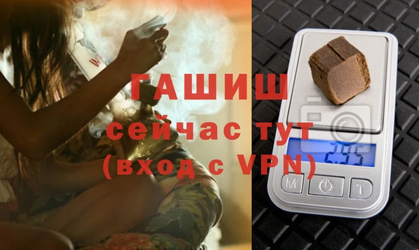 индика Аркадак